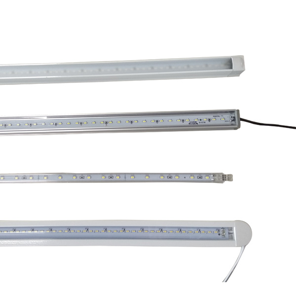 Linear Light